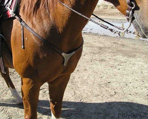 breast-collar-for-horse