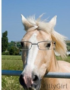 nearsighted-horse